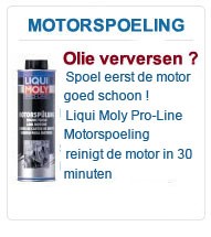 LecWec 100 ml olie lek stop - De Olie Concurrent